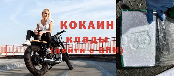 ПСИЛОЦИБИНОВЫЕ ГРИБЫ Верея