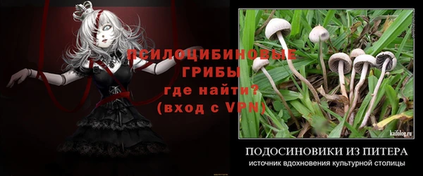 ПСИЛОЦИБИНОВЫЕ ГРИБЫ Верея